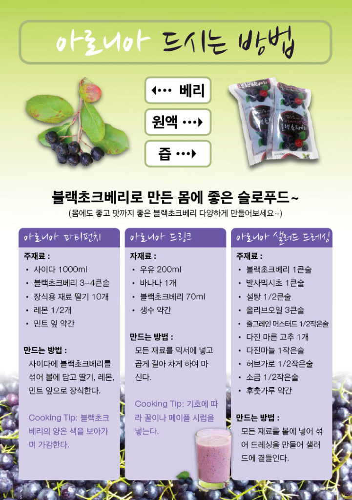 chokeberry-flyer-page2